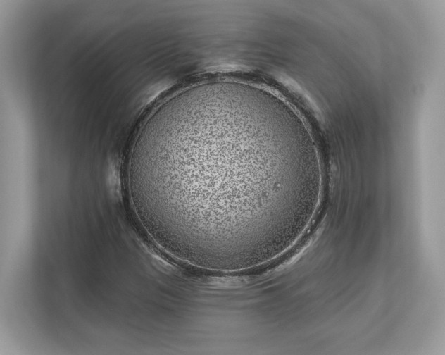 X0000111871305200907301108