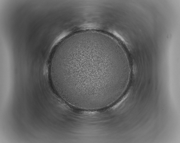 X0000111871309200907301108