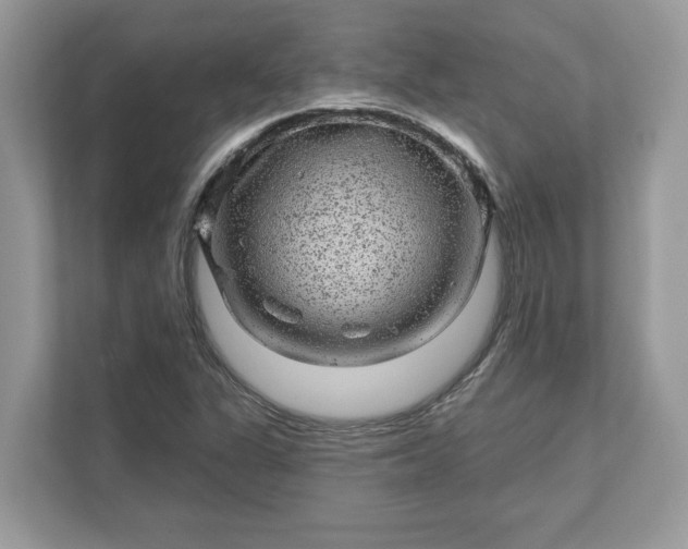 X0000111871311200907301108