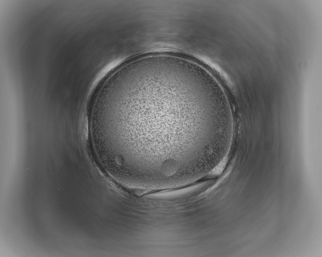 X0000111871317200907301108