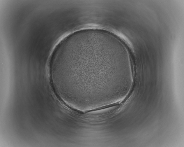 X0000111871318200907301108