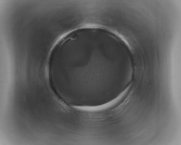 X0000111871319200907301108