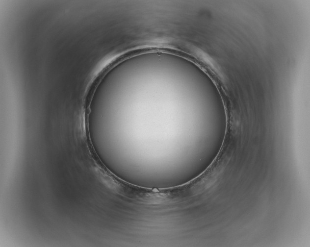 X0000111871320200907301108