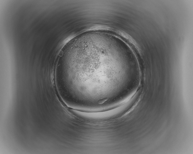 X0000111871321200907301108