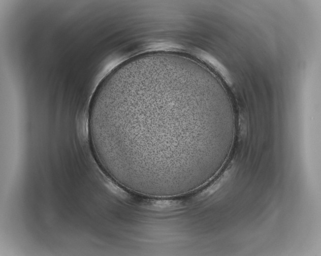 X0000111871322200907301108