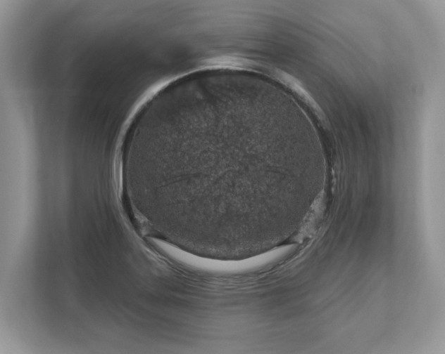 X0000111871323200907301108