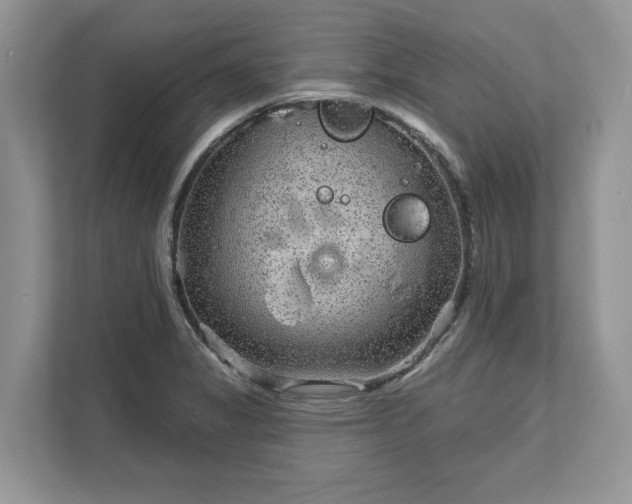 X0000111871325200907301108