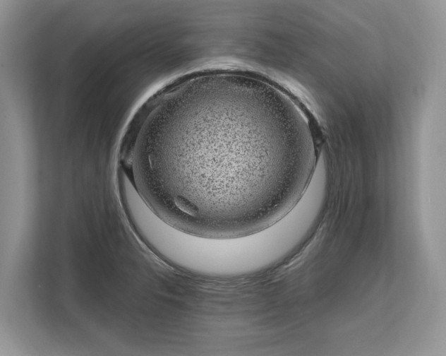 X0000111871326200907301108