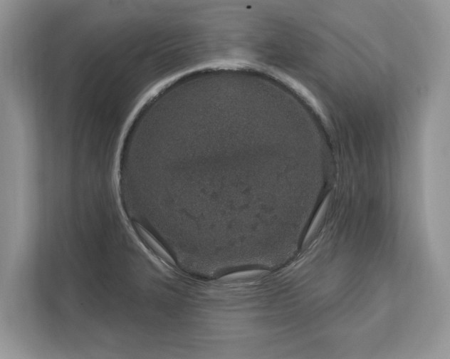 X0000111871327200907301108