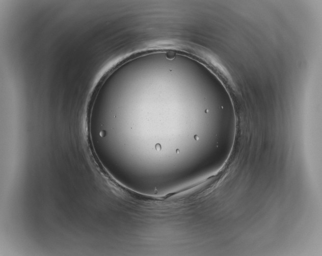 X0000111871328200907301108