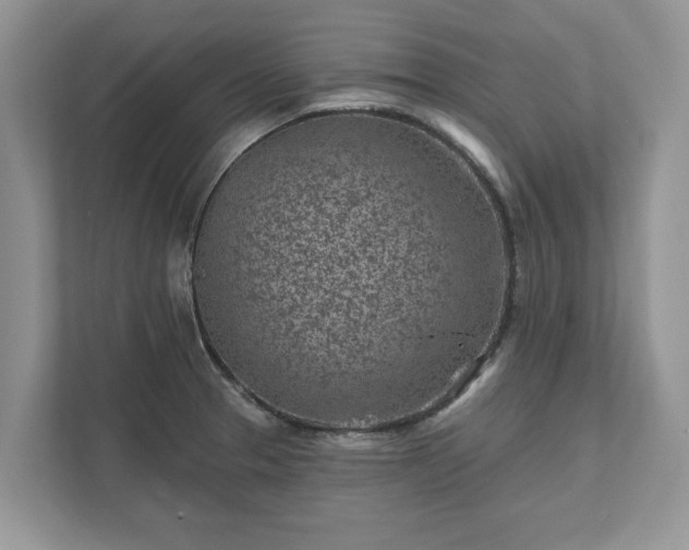 X0000111871329200907301108