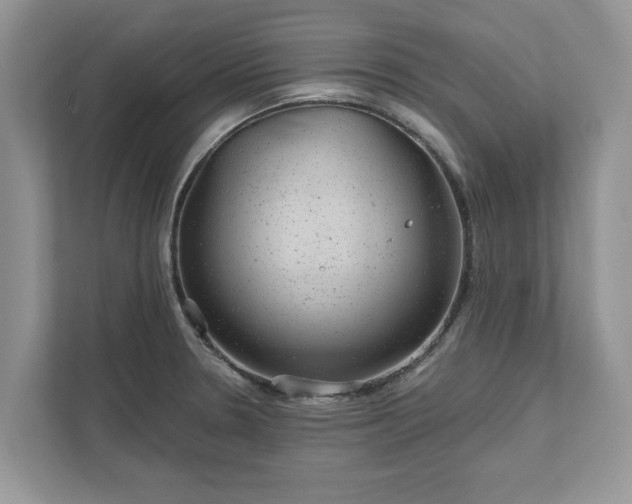 X0000111871330200907301108