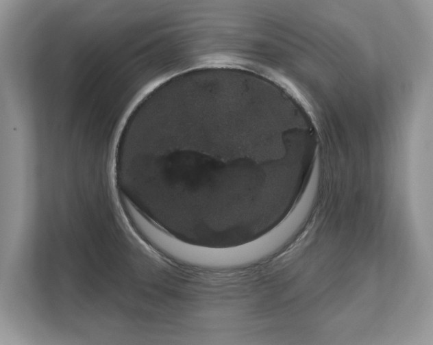 X0000111871331200907301108