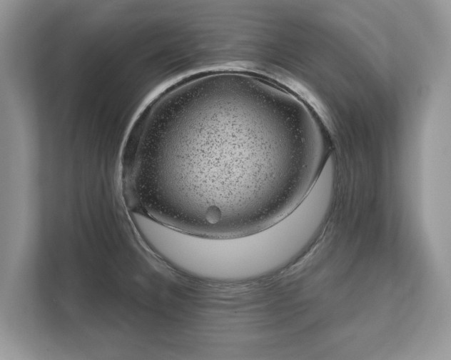 X0000111871332200907301108