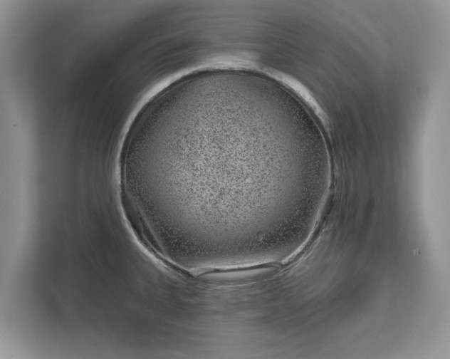 X0000111871335200907301108