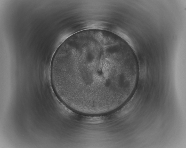 X0000111871338200907301108