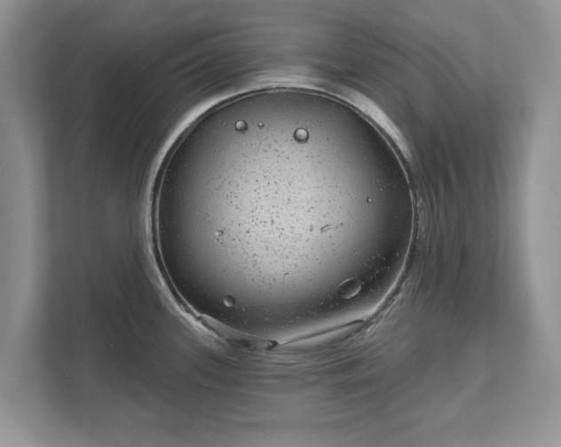 X0000111871339200907301108