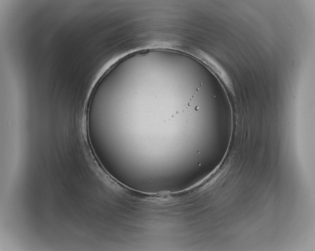 X0000111871340200907301108