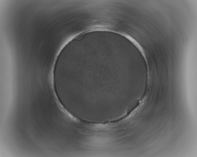 X0000111871341200907301108