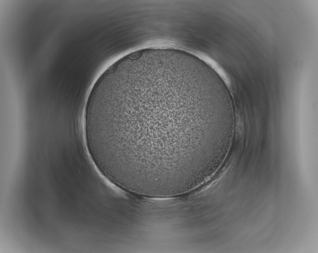 X0000111871343200907301108