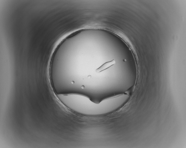 X0000111871344200907301108