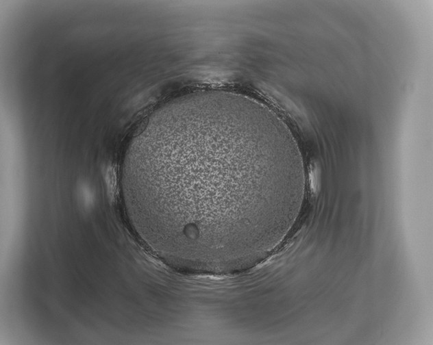 X0000111871347200907301108