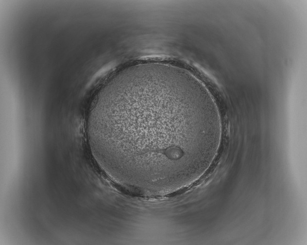 X0000111871351200907301108