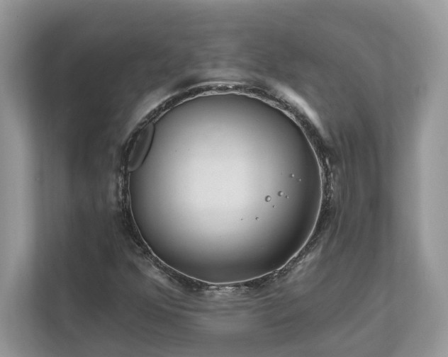 X0000111871352200907301108