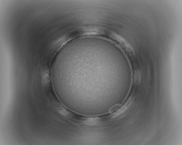 X0000111871353200907301108