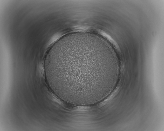 X0000111871354200907301108