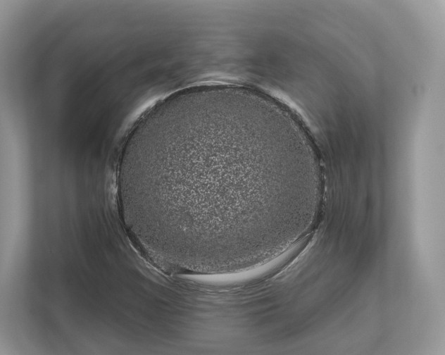 X0000111871355200907301108