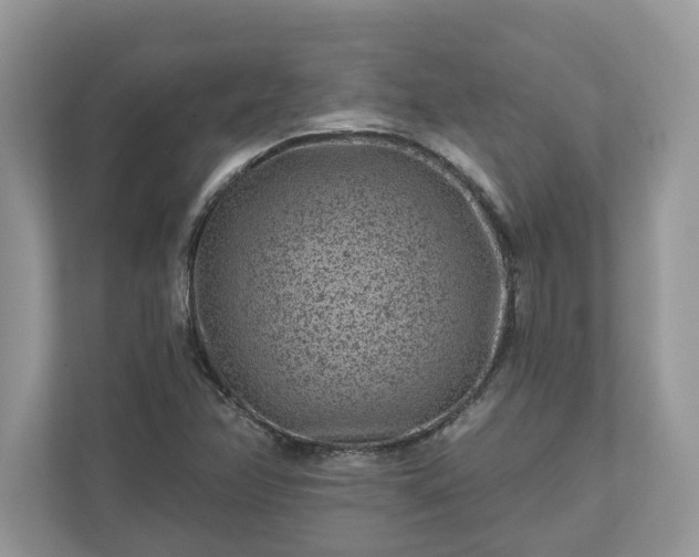 X0000111871358200907301108