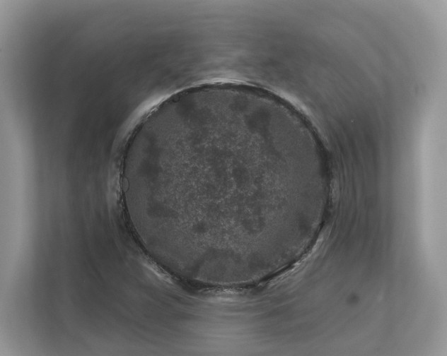 X0000111871359200907301108