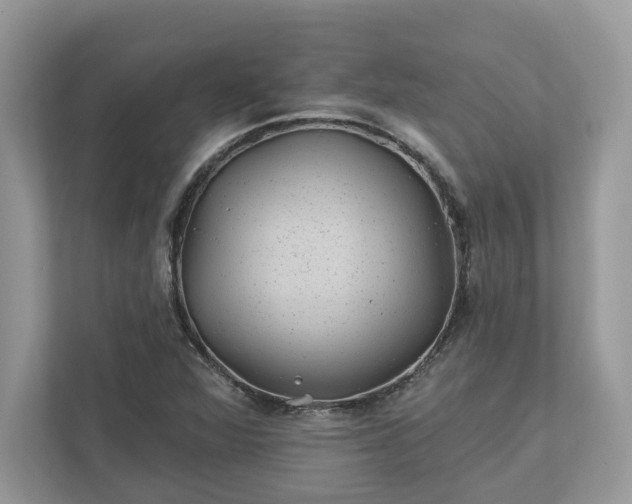 X0000111871360200907301108