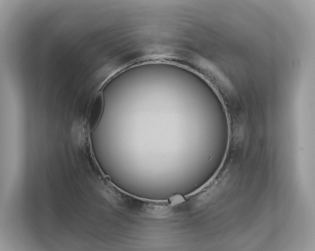 X0000111871361200907301108