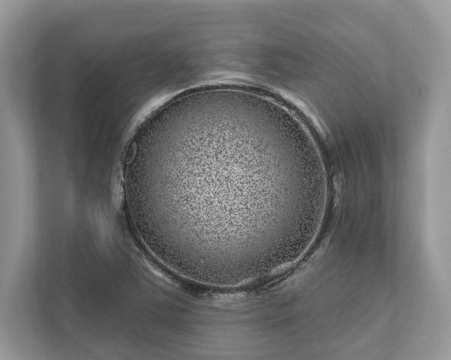 X0000111871363200907301108