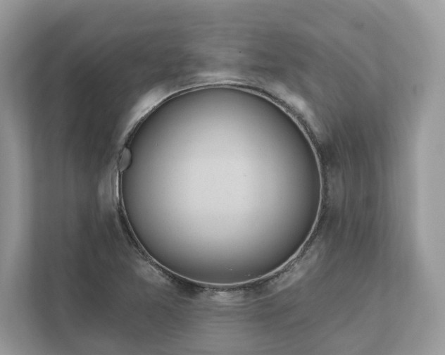 X0000111871365200907301107