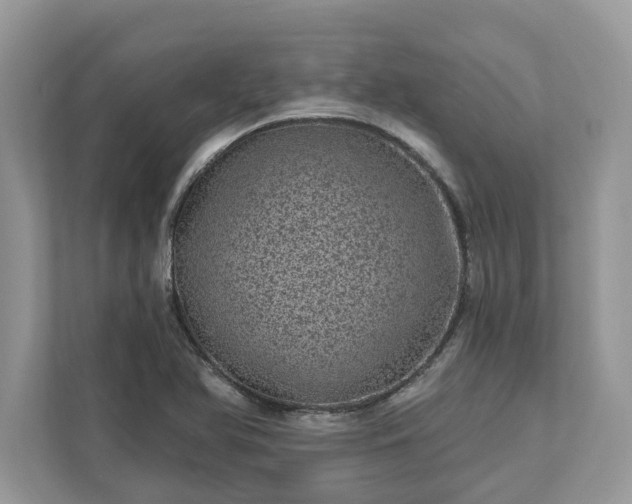 X0000111871366200907301107