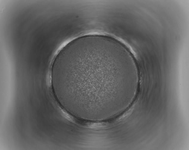 X0000111871367200907301107