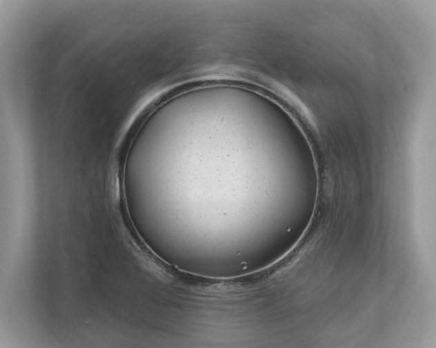 X0000111871368200907301107