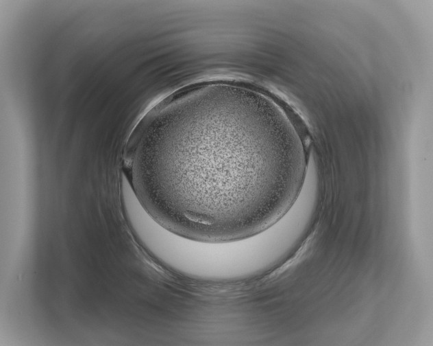 X0000111871369200907301107