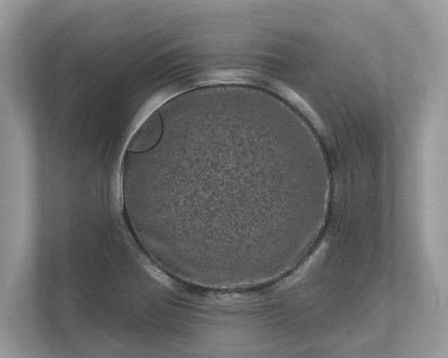 X0000111871370200907301107