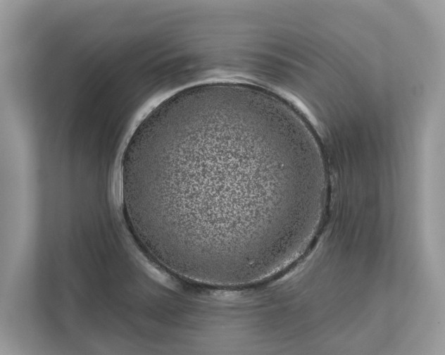 X0000111871371200907301107