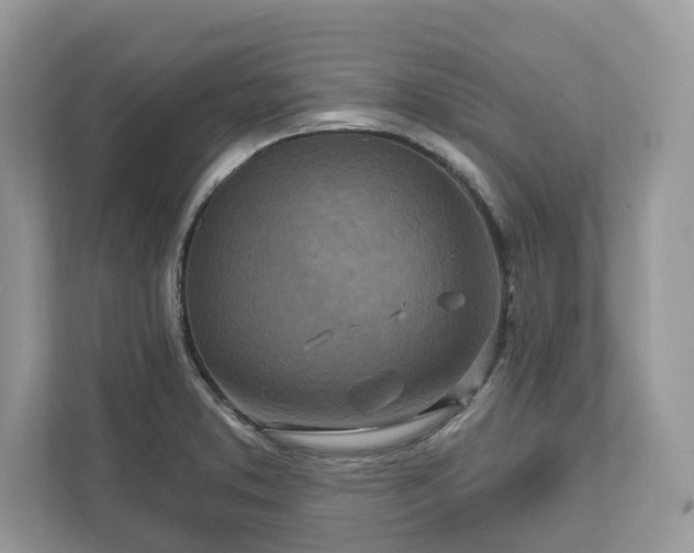 X0000111871373200907301107