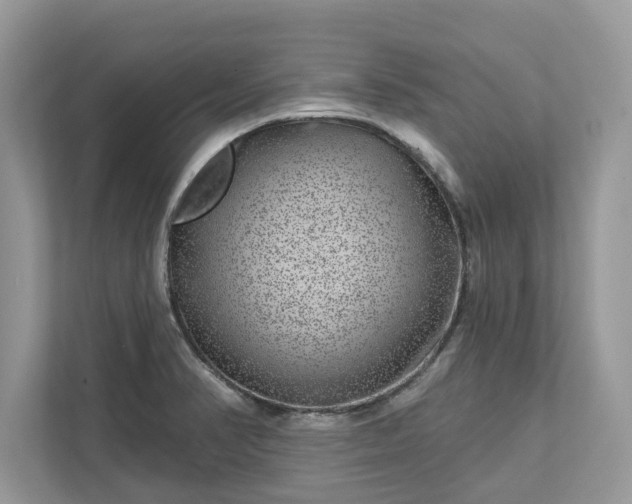 X0000111871374200907301107