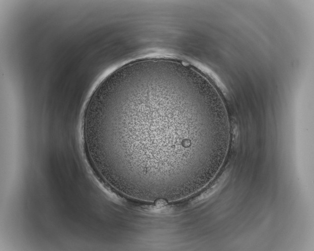 X0000111871375200907301107