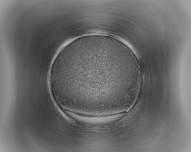 X0000111871379200907301107