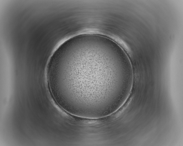 X0000111871382200907301107