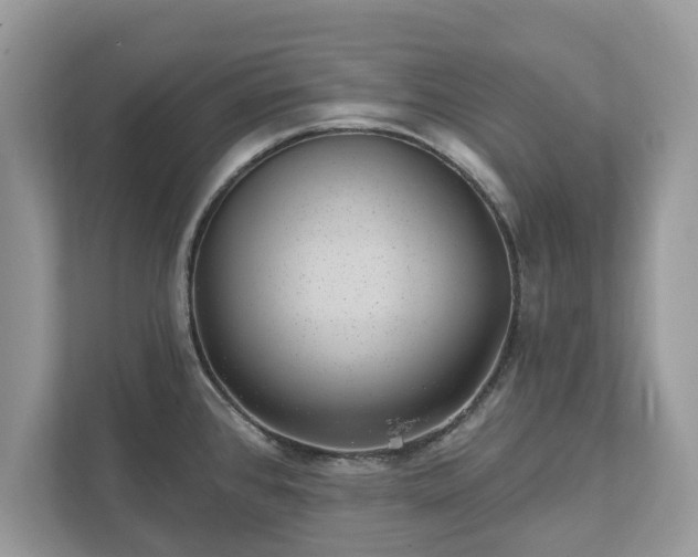 X0000111871384200907301107