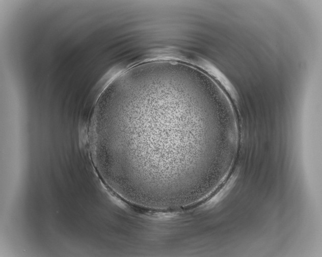 X0000111871385200907301107